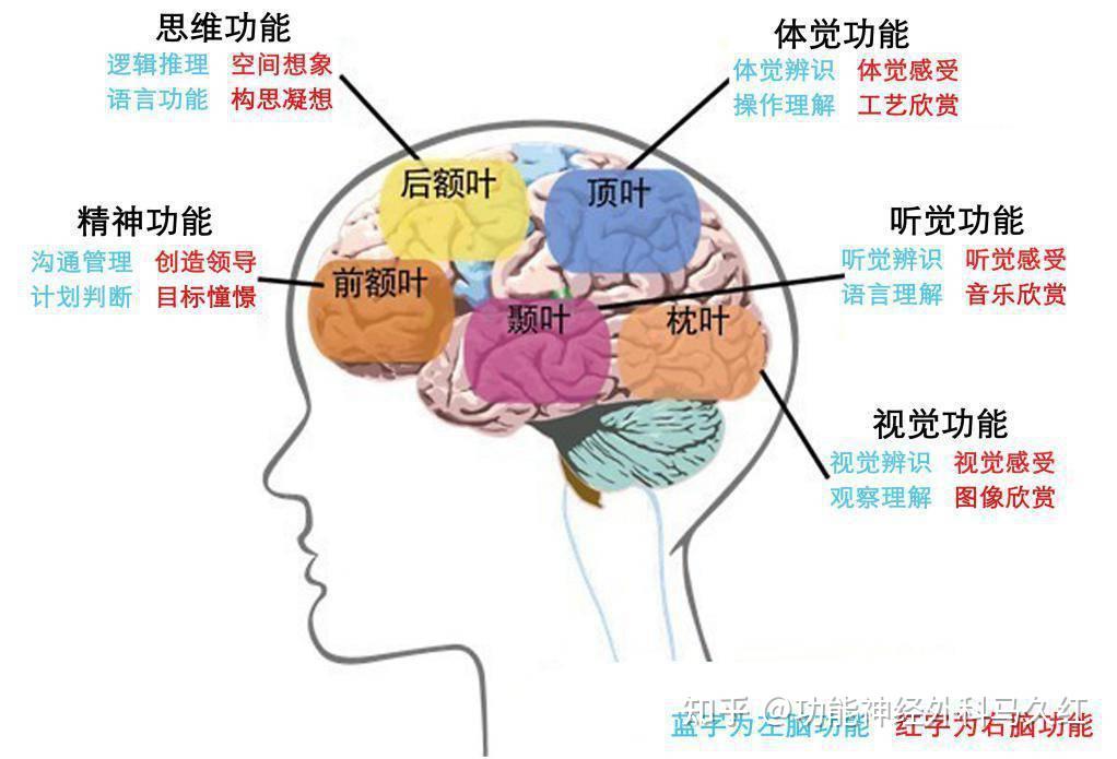 癫痫病灶位置不同,发作症状的区别 - 知乎