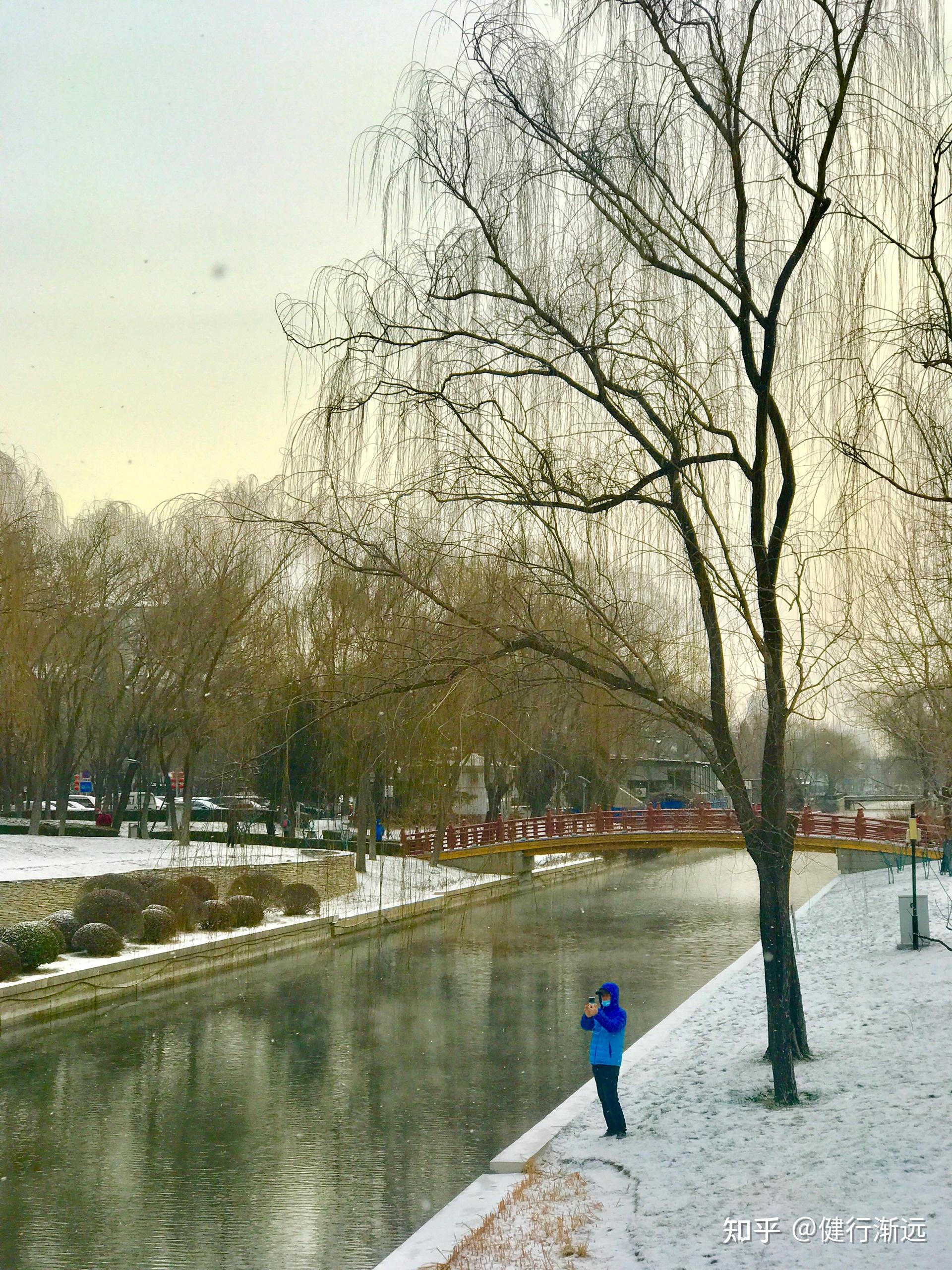 2021年北京的第一场雪终于来了跟我去元大都遗址公园去看雪