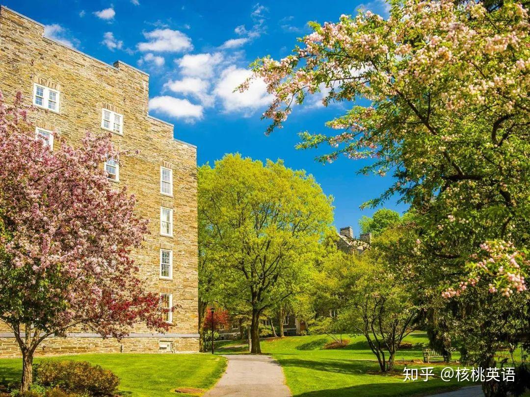 的中文校名是科尔盖特大学,但其英文名的的确确和牙膏品牌高露洁一模