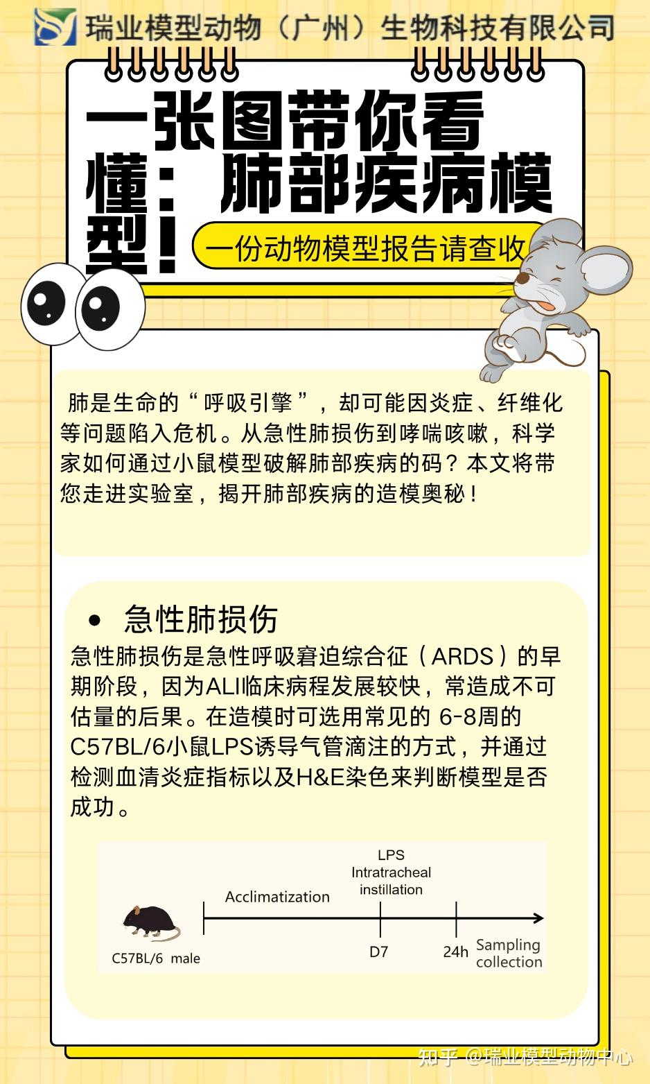 一张图带你看懂：肺部疾病模型 - 知乎