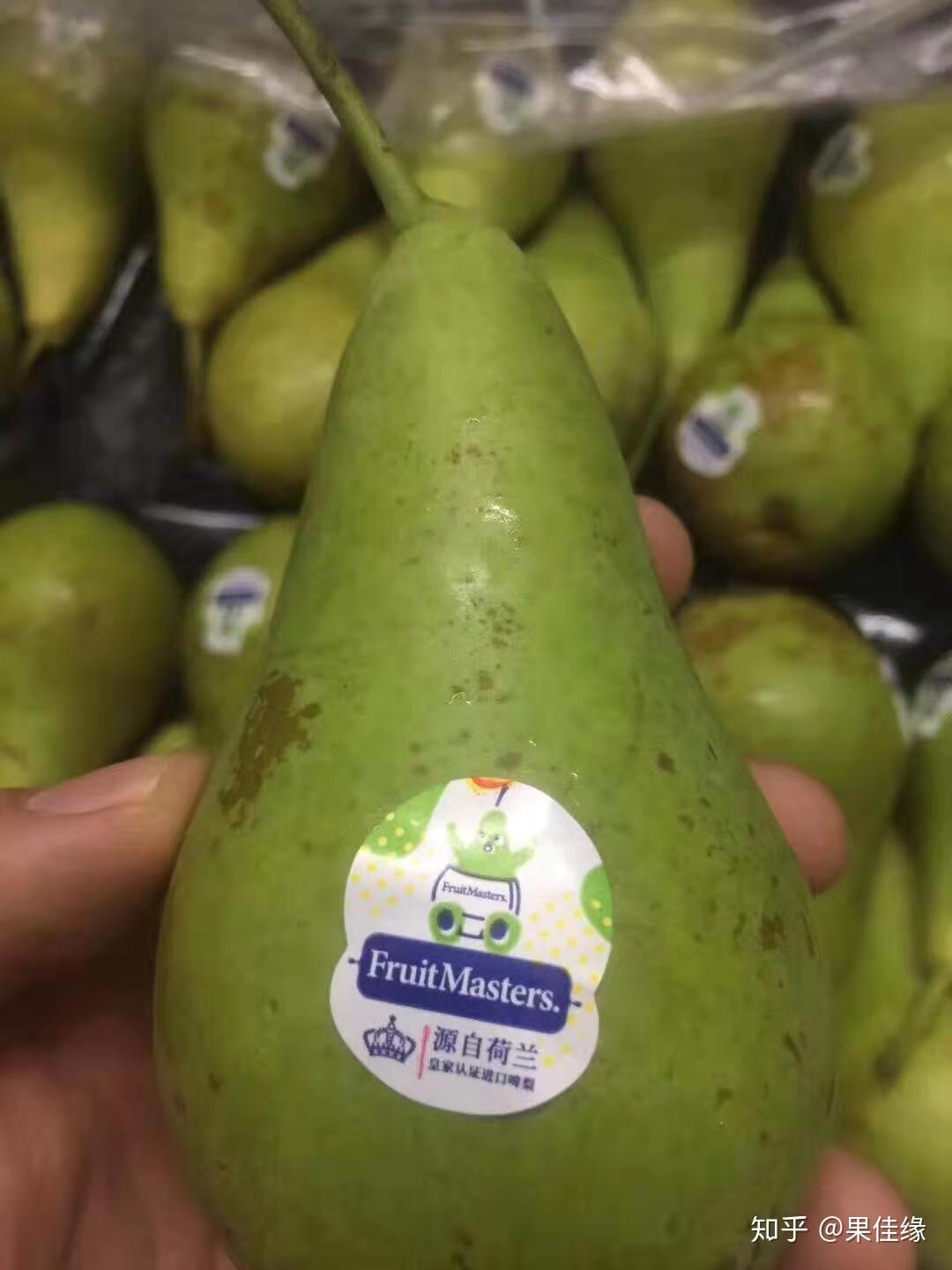 如何购买进口水果新鲜水果进口水果种类之荷兰啤梨