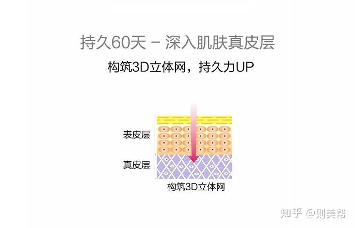 百洛娜液体线雕就是将液态的pcl高分子聚合物导入中胚层