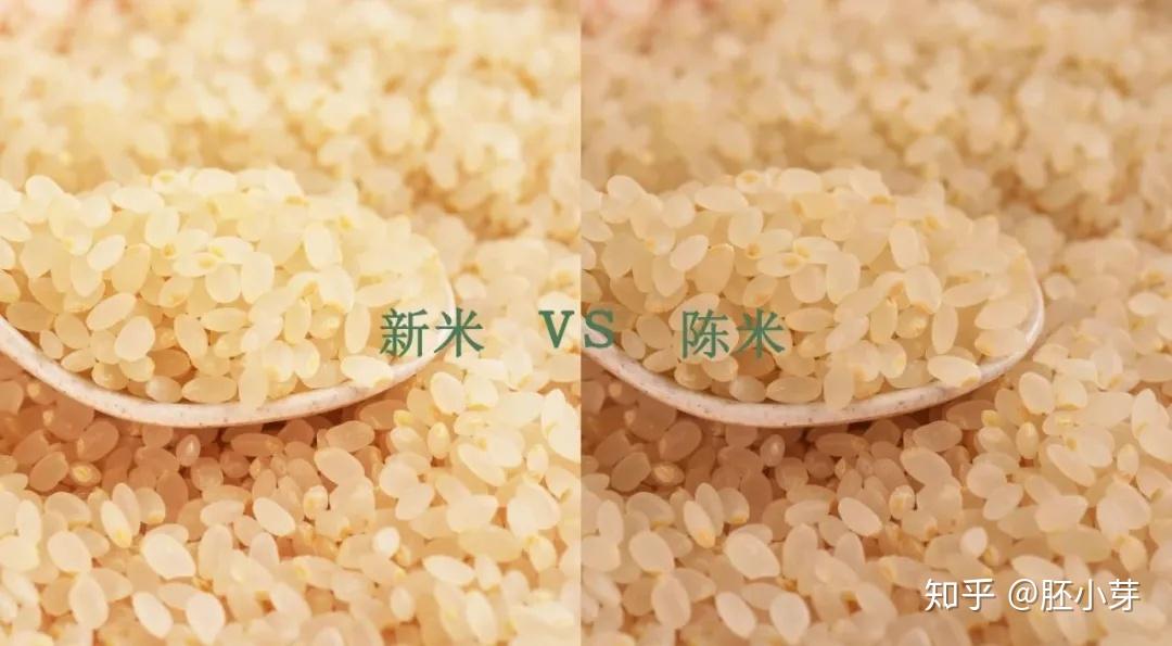 储存时间久的大米,会产生一种名为黄曲霉素的物质.