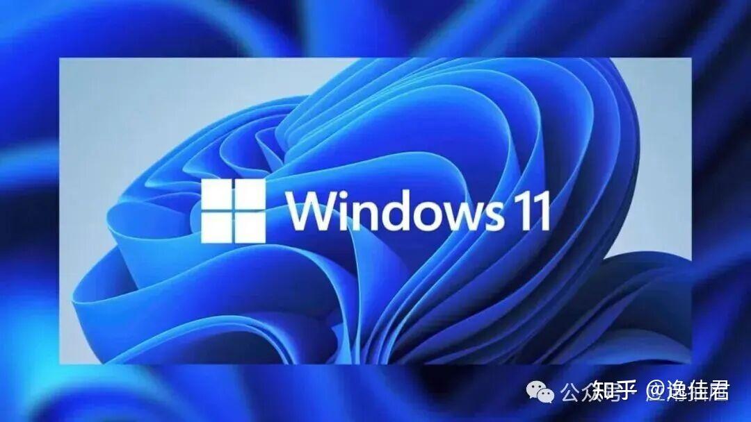 完全重构,电脑端BT种子/磁力链接下载工具,Motrix Next V3.6.2 新版分享