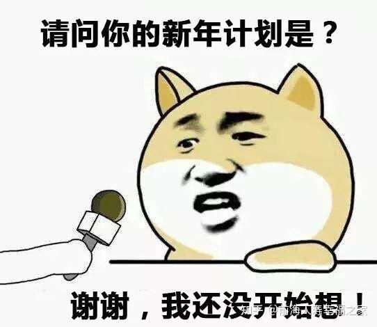 2022年个人目标搞笑图图片