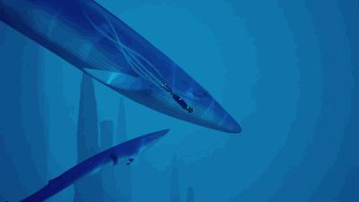 除了蓝鲸游戏你更应该远离这个死亡网站