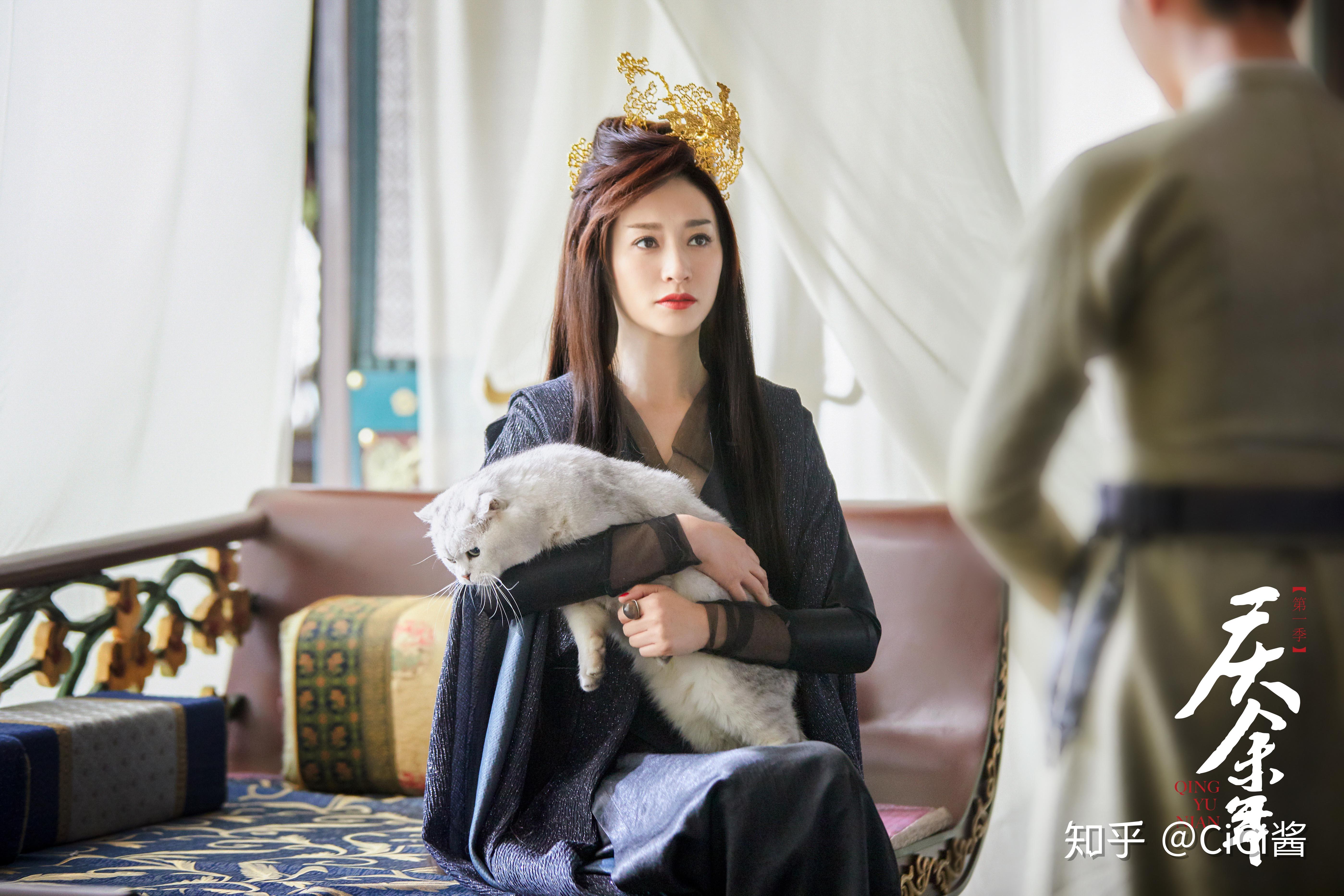 李小冉在剧中饰演林婉儿的母亲大人,也是长公主,属于太子一派,攻于