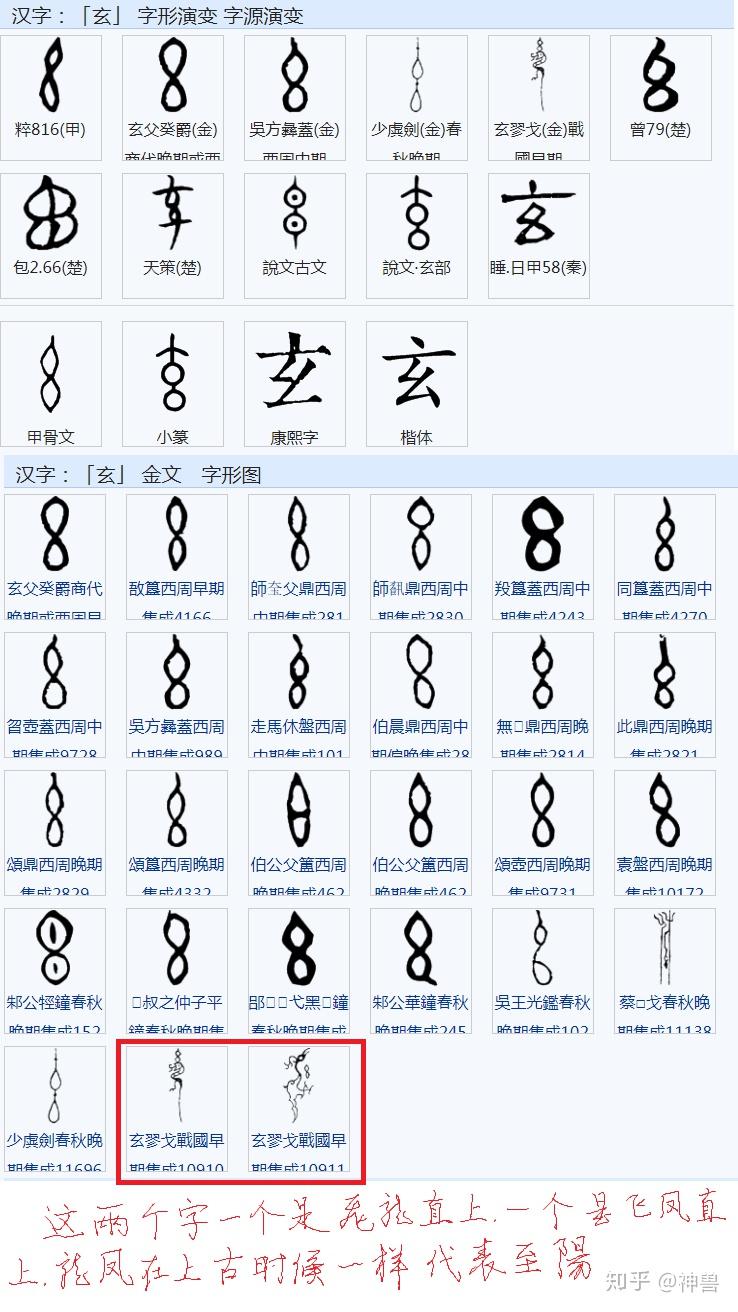 关于“午”字的起源,和天干地支 - 知乎