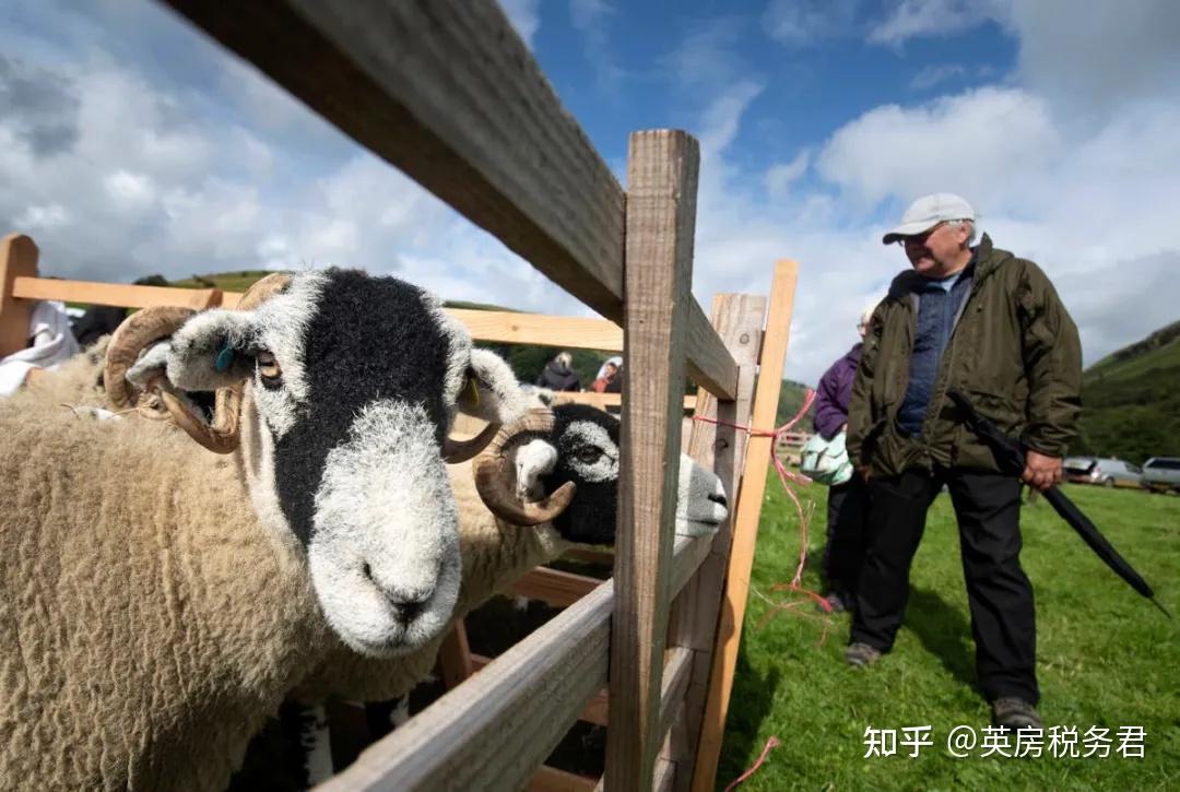 英國和澳大利亞達成自由貿易協定英國經濟復甦5月就業人數創歷史新高