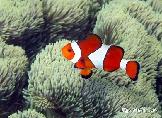 史上最好的沙巴小众旅行攻略，没有之一。