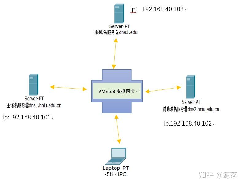 Windows server DNS服务器配置与管理