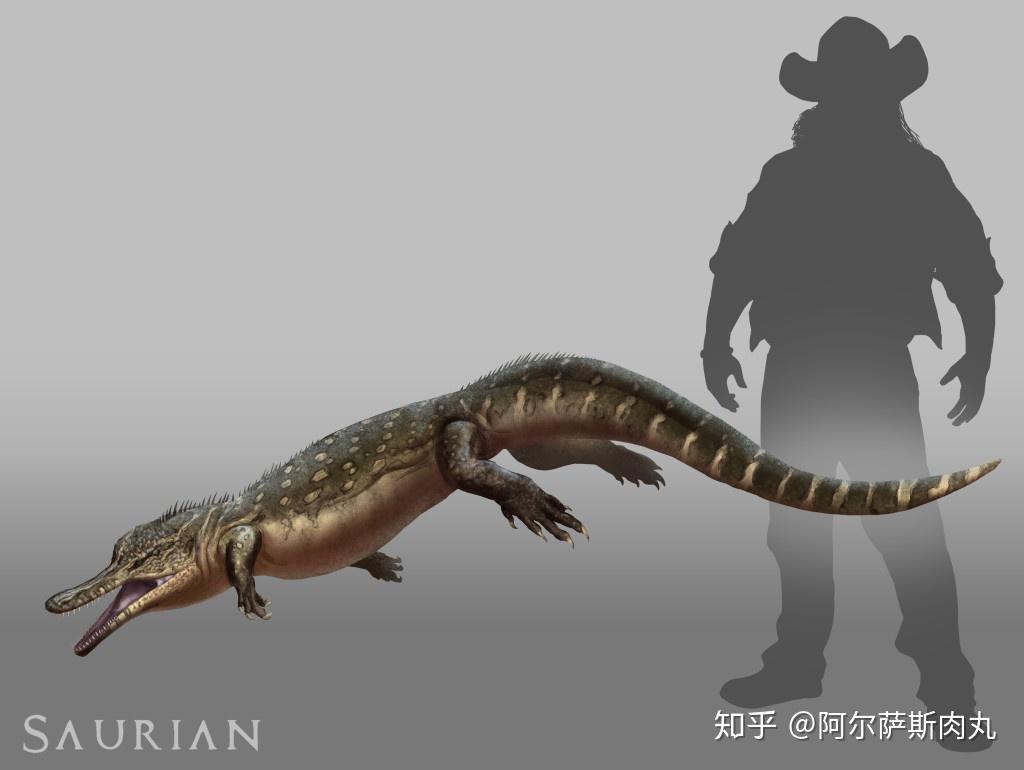 番外丨鬼魅离龙目浅谈