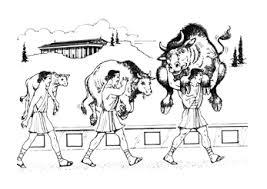 如何才能变壮 v2-1cb7c8181de70bb1f3349cd9e0e312d5_b.jpg