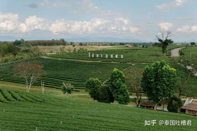 2023 泰国 10 大最佳旅游景点,第一次到泰国去哪里?玩什么?