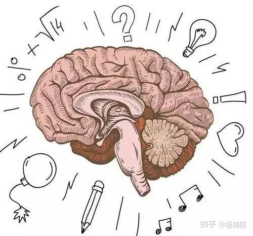 脑神经反馈训练的科学性与有效性 - 知乎