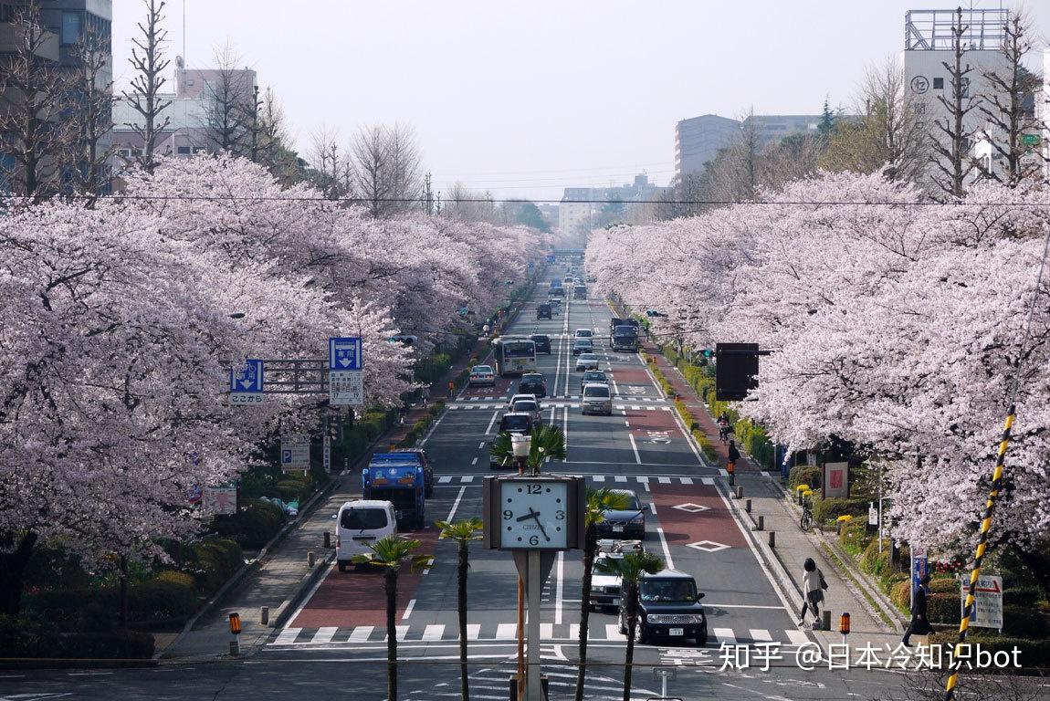 在东京26个市中,人均医院数最多的是清濑市,另外,与市的土地面积相比