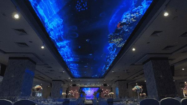 LED天幕透明屏应用技术要求 - 知乎