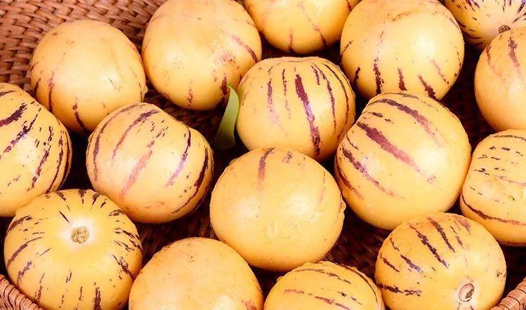 v2-1cf102054203e353153e69181ade4d8f_1440w.jpg?source=172ae18b