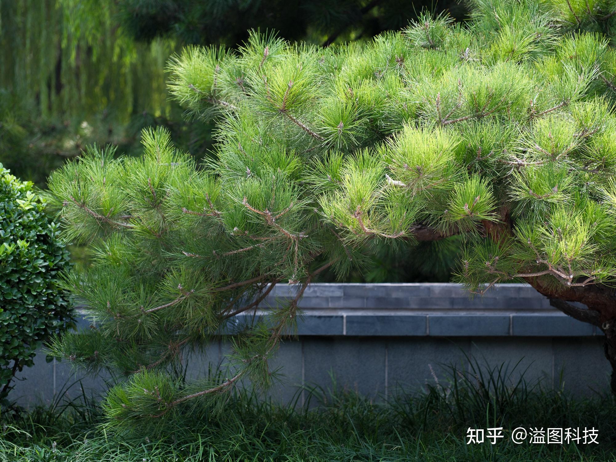 富士gfx100ii深度体验 中画幅的全能旗舰