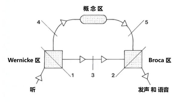 失语的评估 - 知乎