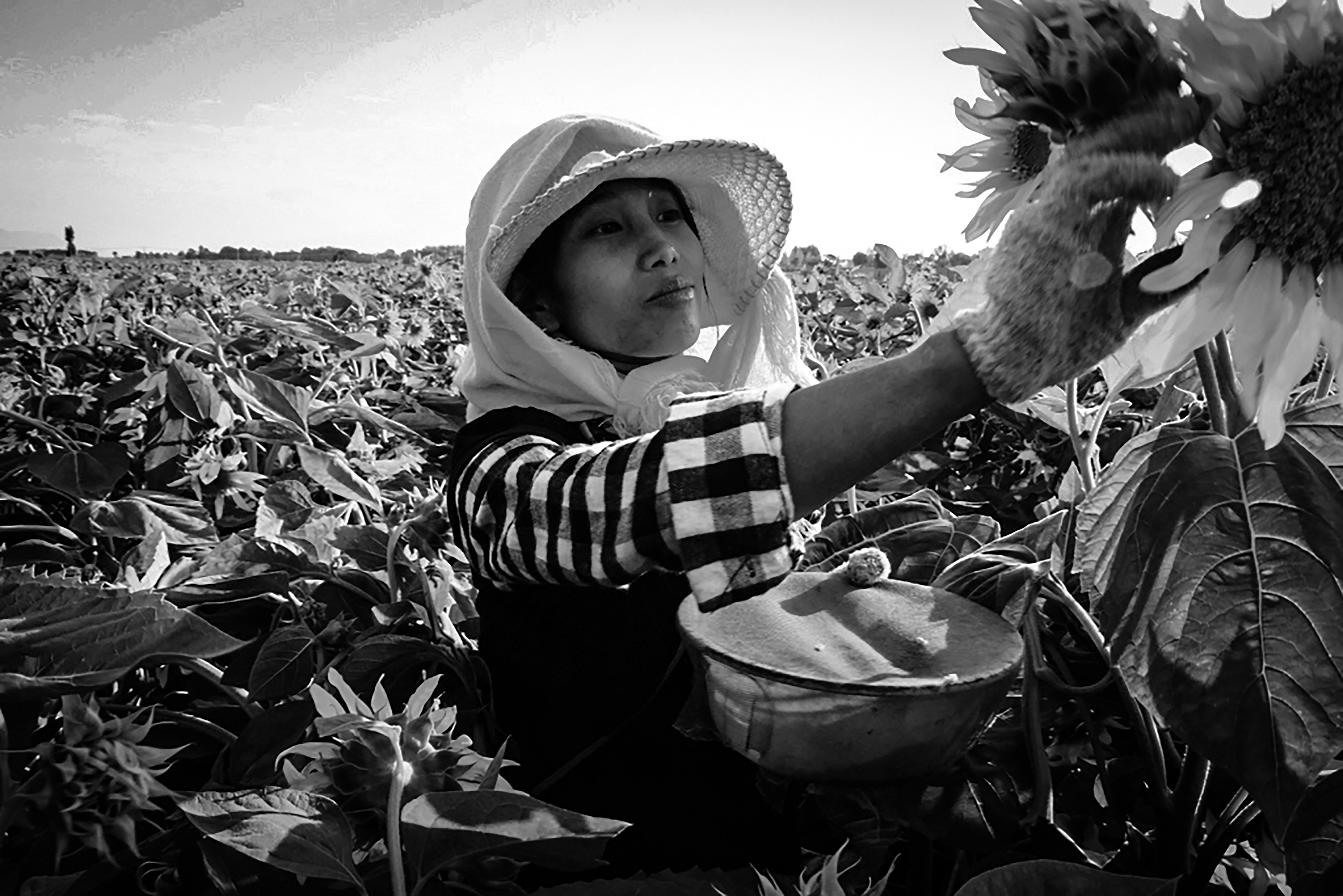 吕志俊河西女人第一届甘肃现代摄影艺术展览优秀摄影作品