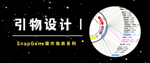 SnapGene操作指南 | 引物设计 III - 知乎