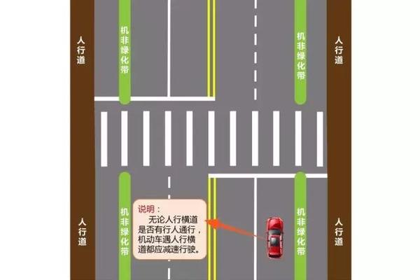 “斑马线”通行权解析 - 知乎