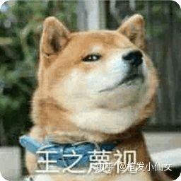 v2-1d5f6bc0ba65dc242404884e406c704d_b.jpg