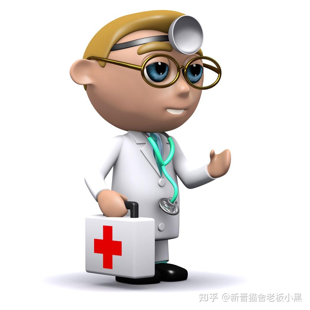母猫怀孕到生产的关键性阶段专业兽医师解答