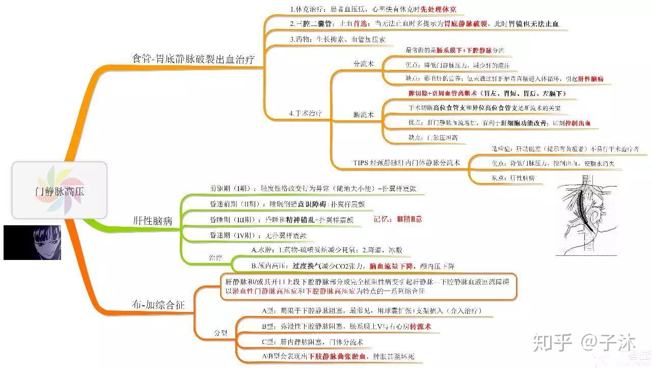医学生必备外科学思维导图