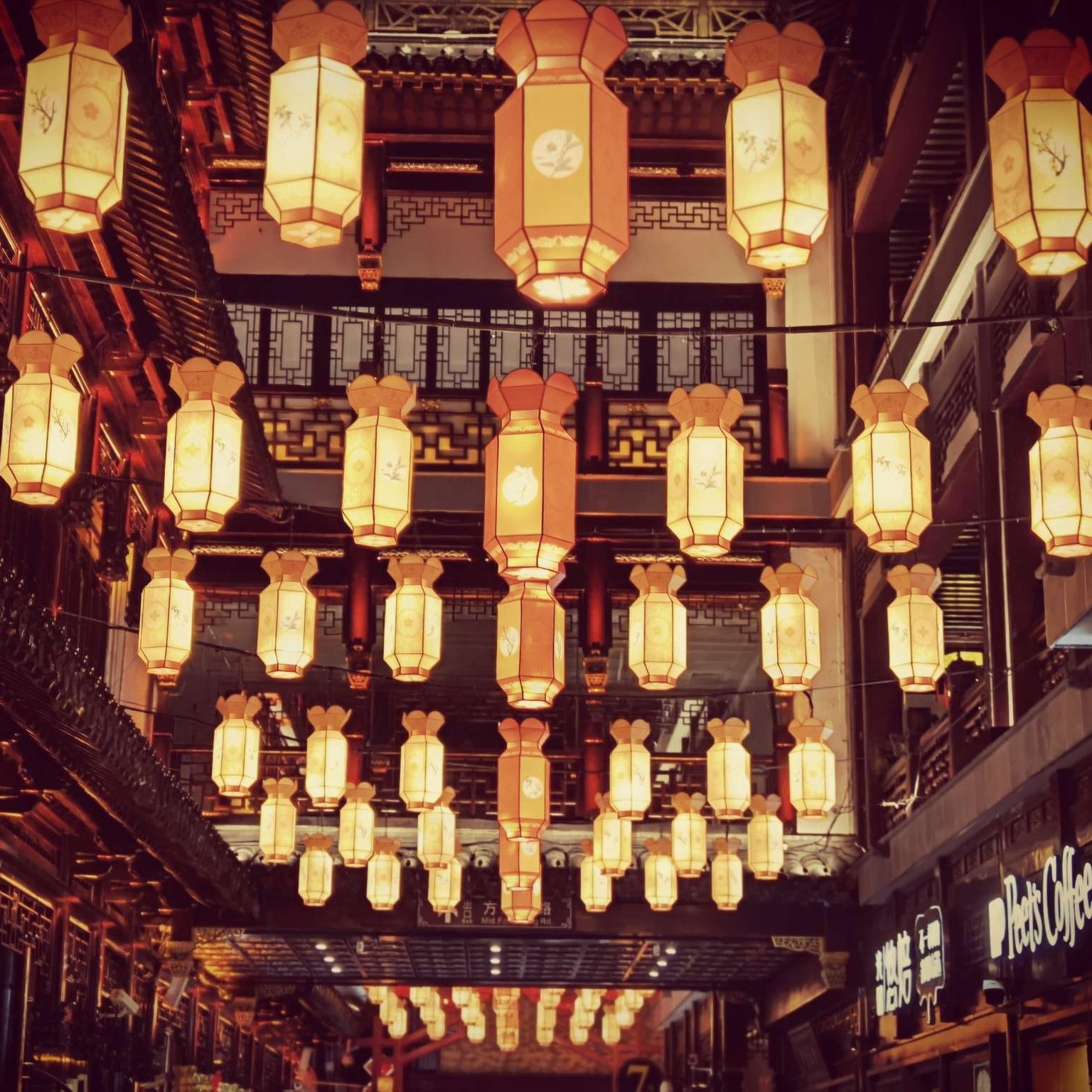 叶商秋