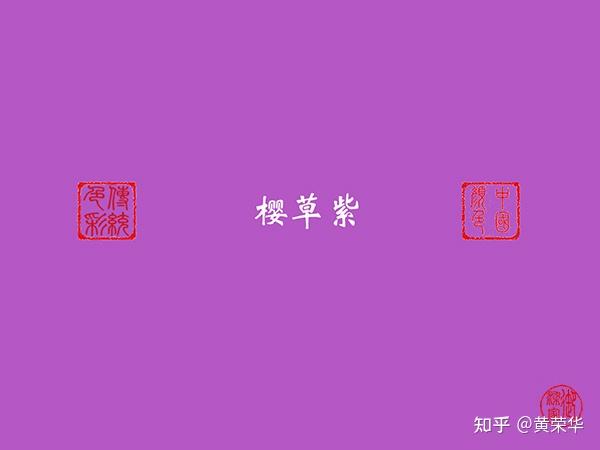 是紫色樱草花的颜色.樱草,又名年景花,报春花,四季报春,原产中国.