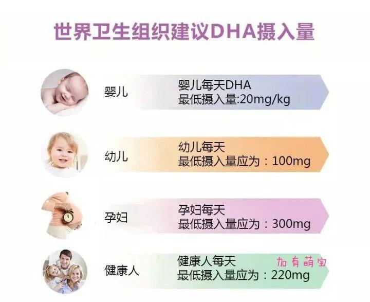 宝宝健康13怎么正确摄入dha