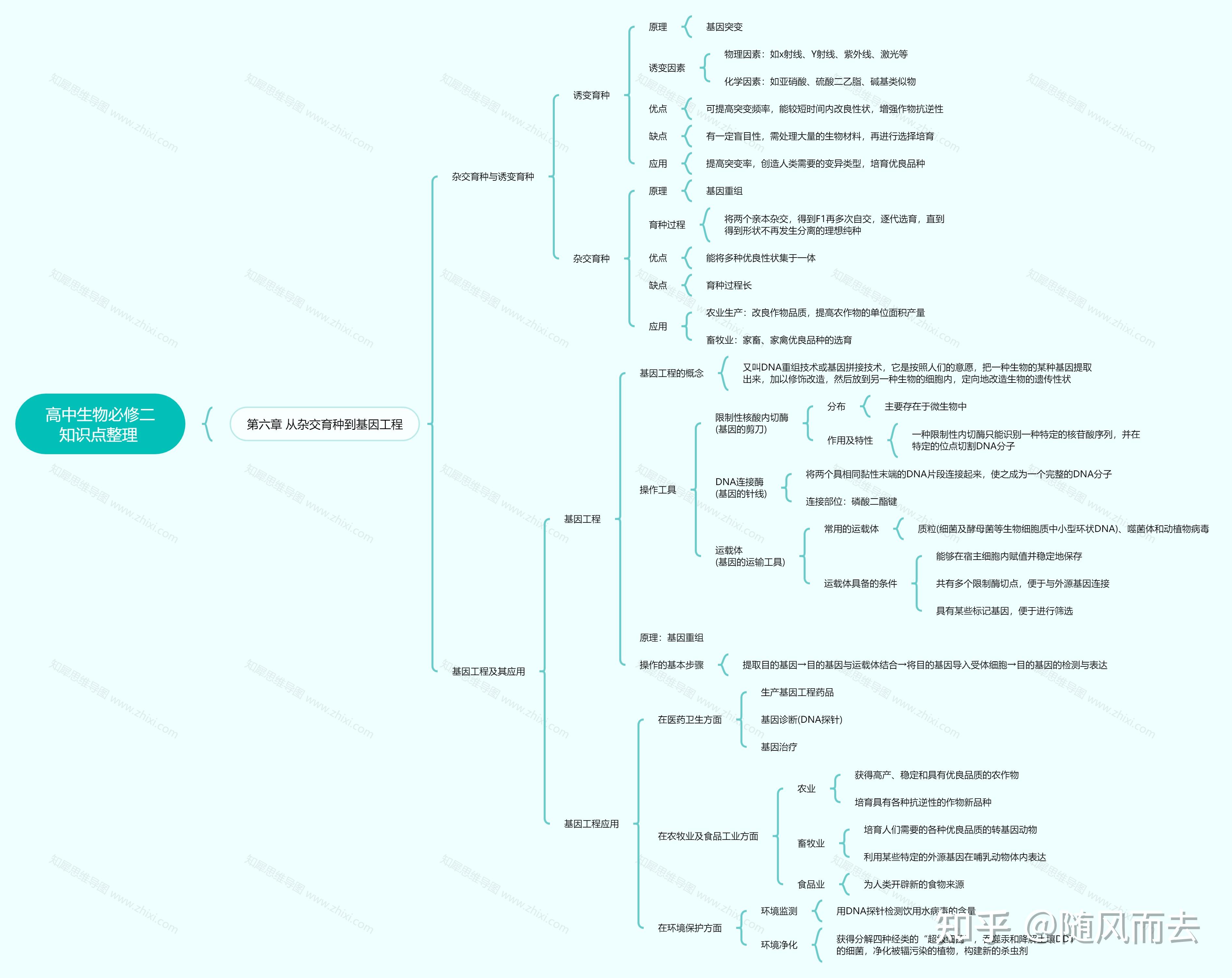 高中生物必修二第六章思维导图