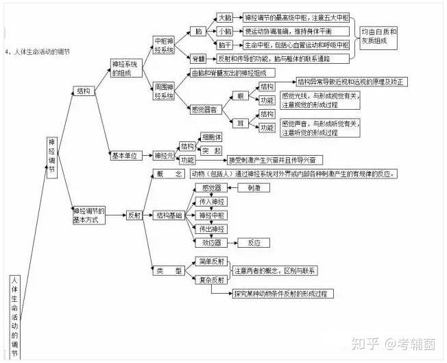 生物的結構層次知識點一:科學探究中考生物知識點思維導圖即可下載▼