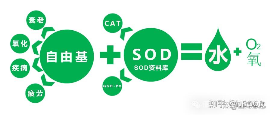 SOD科普:诺贝尔医学奖获得者!关于SOD的神奇作用终于藏不住了!(一) - 知乎