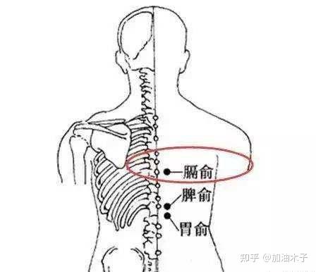 乳腺增生拔罐位置图图片