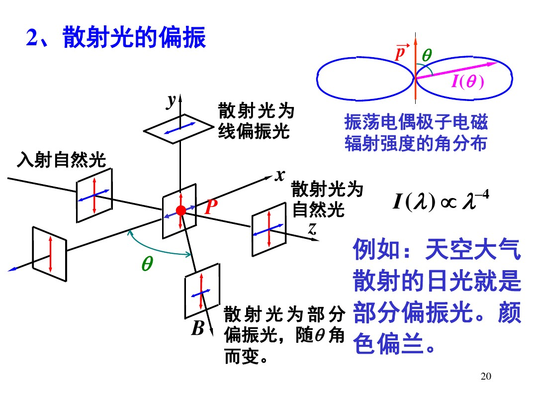 坡印廷矢量