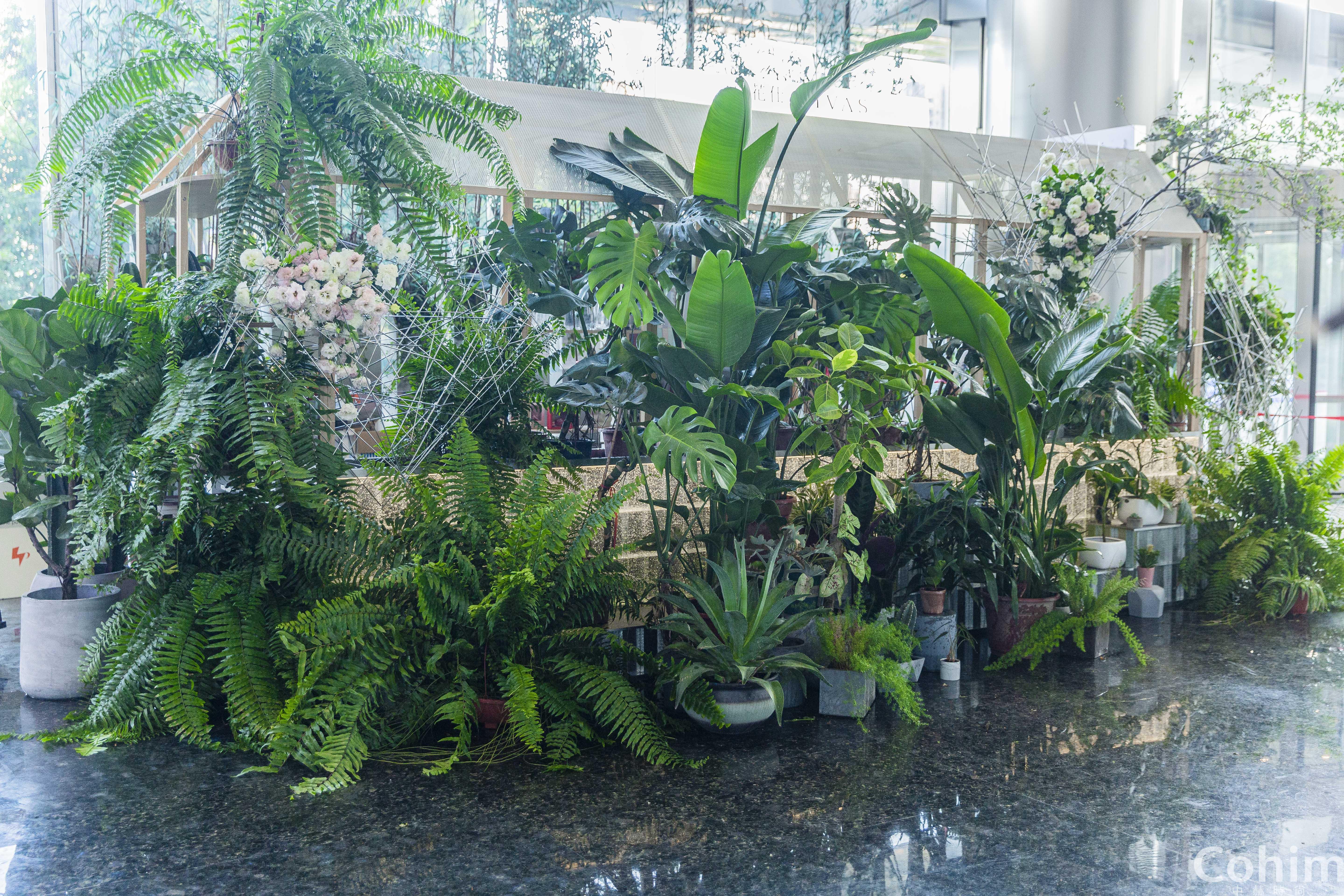 空间花艺绿植课当我老了就开一家花店从此鲜花绿植荒度此生