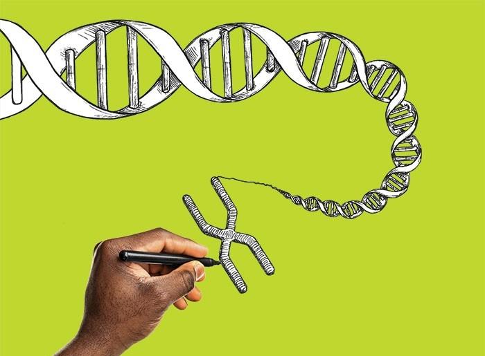 什么是合成基因组学