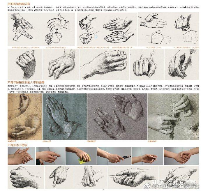 速写人物细节解析手部特写 - 知乎
