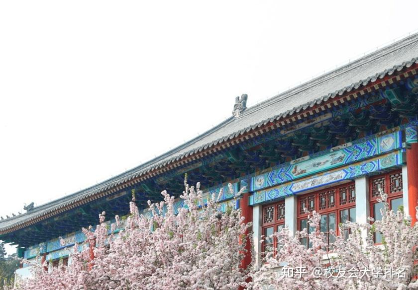 校友会2024重庆市大学一流专业排名,重庆大学,重庆科技大学第一