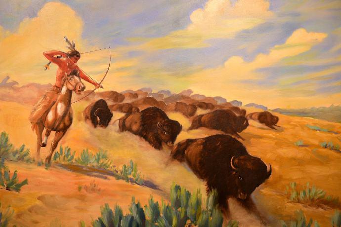 美国野生动物美洲野牛数量庞大猎人坐火车屠杀取乐