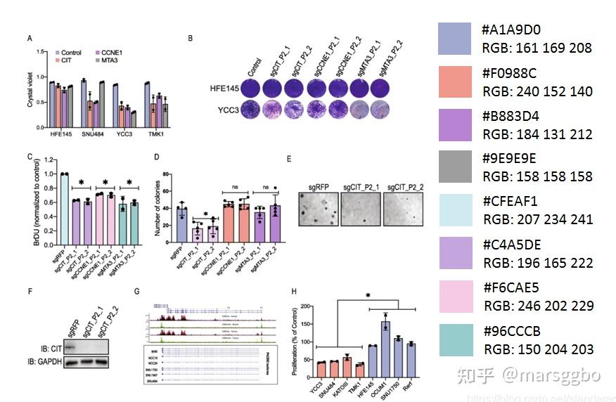 sci论文润色究竟是润色什么