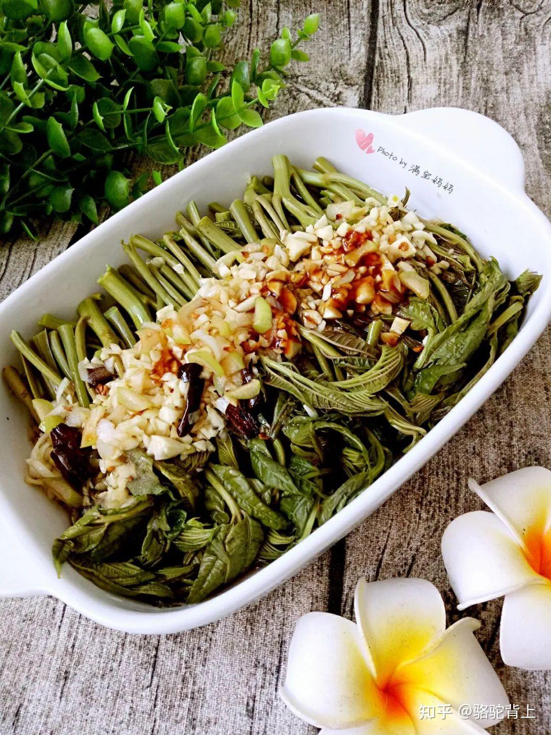 香椿芽,三月里一定要吃的"十全蔬菜"