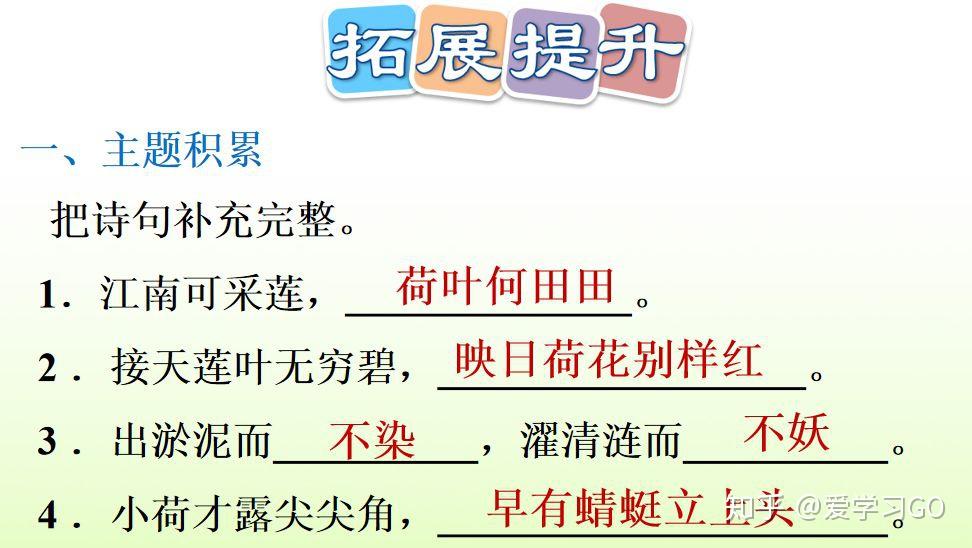 部编版语文三年级下册第3课荷花图文讲解知识点梳理