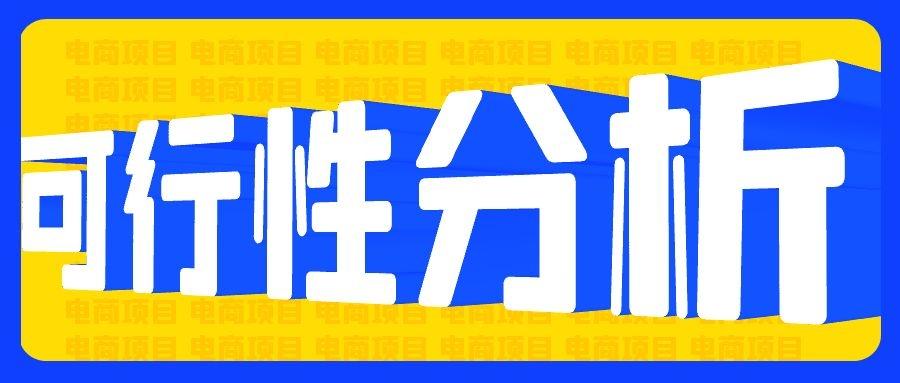 可行性分析