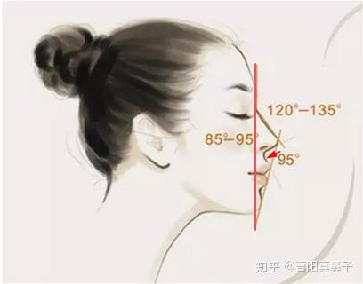 如何判断自己的鼻基底是否凹陷?