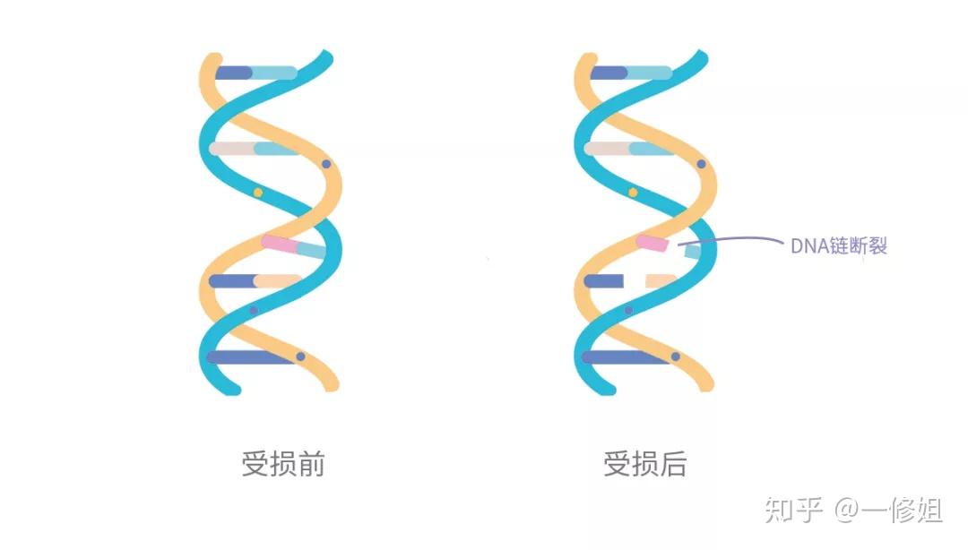 v2-1e17a82be3eb4dd20ed17a77f10311b1_r.jpg
