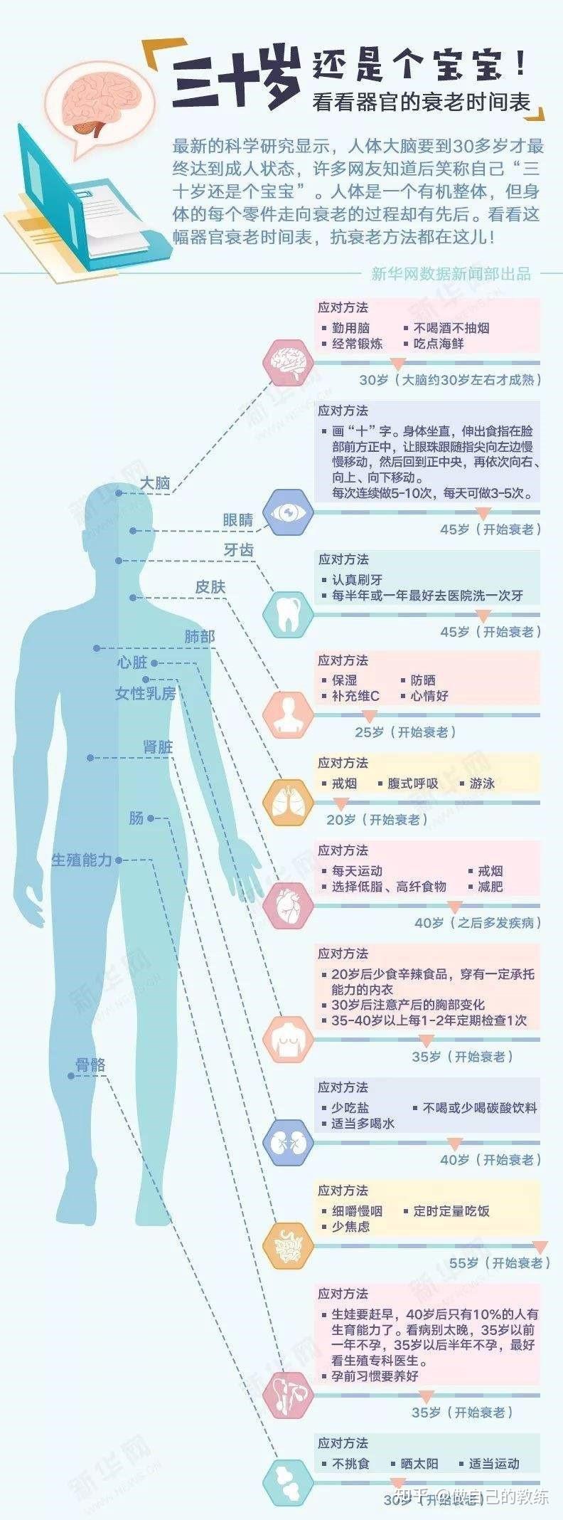 人体器官衰老时间表.